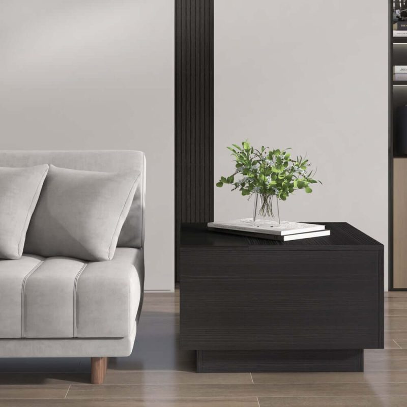 "23.6" Modern Black Wood Sqaure End Table with Storage"