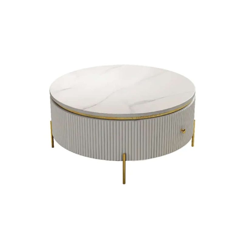 "Yelly Modern Round Coffee Table with Storage Sintered Stone Accent Table Stainless Steel"