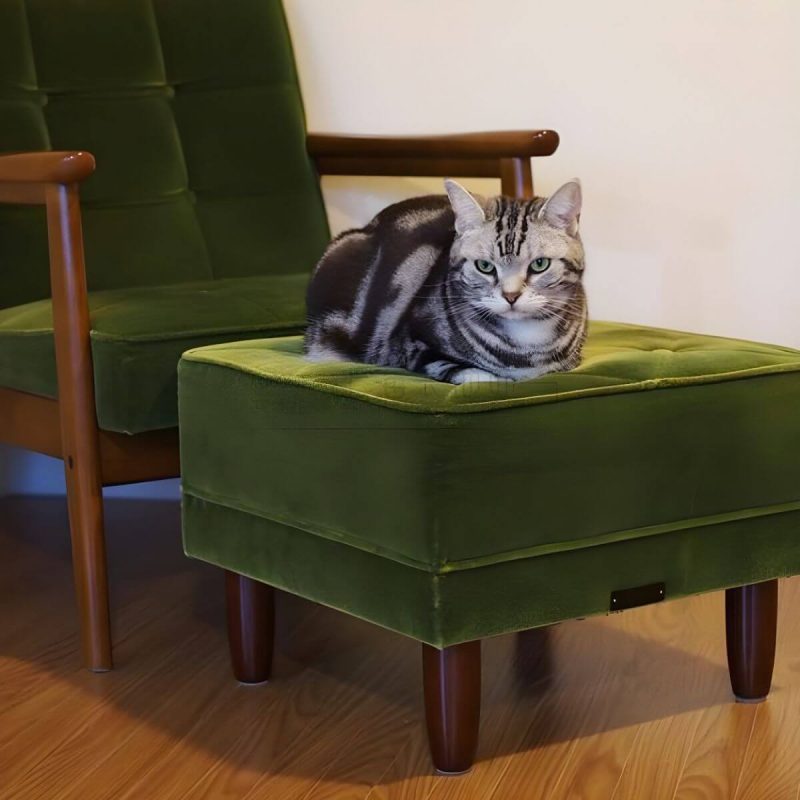 "Modern Upholstered Tufted Accent Stool with Wood Legs and Storage Not Included - Green 1 Piece"